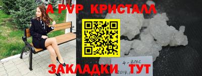 гидра Гай