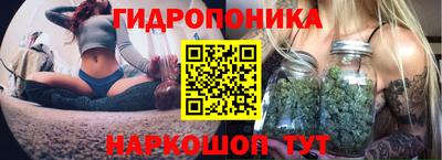 прущие крисы Гагарин