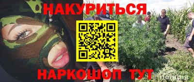 гидра Гай