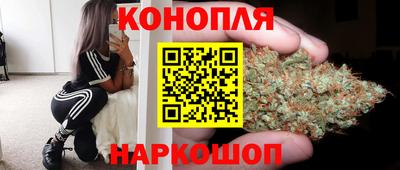 прущие крисы Гагарин