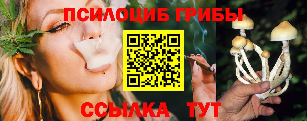 Галлюциногенные грибы MAGIC MUSHROOMS  Вход с VPN  Можга 